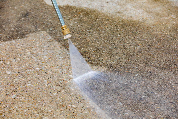 Animal Enclosure Cleaning in Bolivar, WV